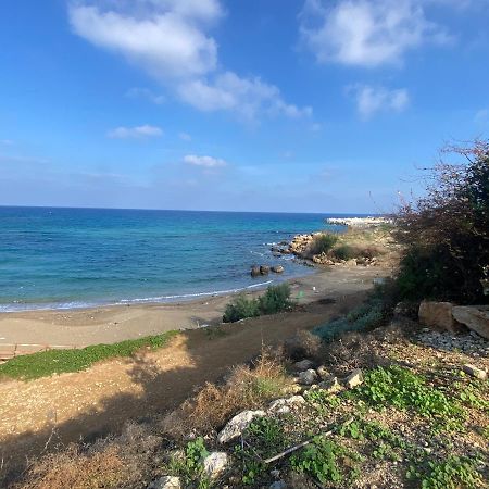 Olive Tree Villa - Protaras Bagian luar foto