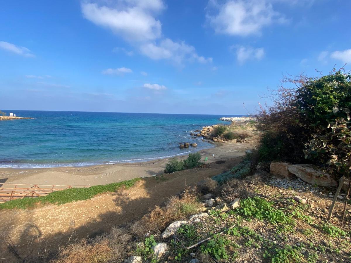 Olive Tree Villa - Protaras Bagian luar foto