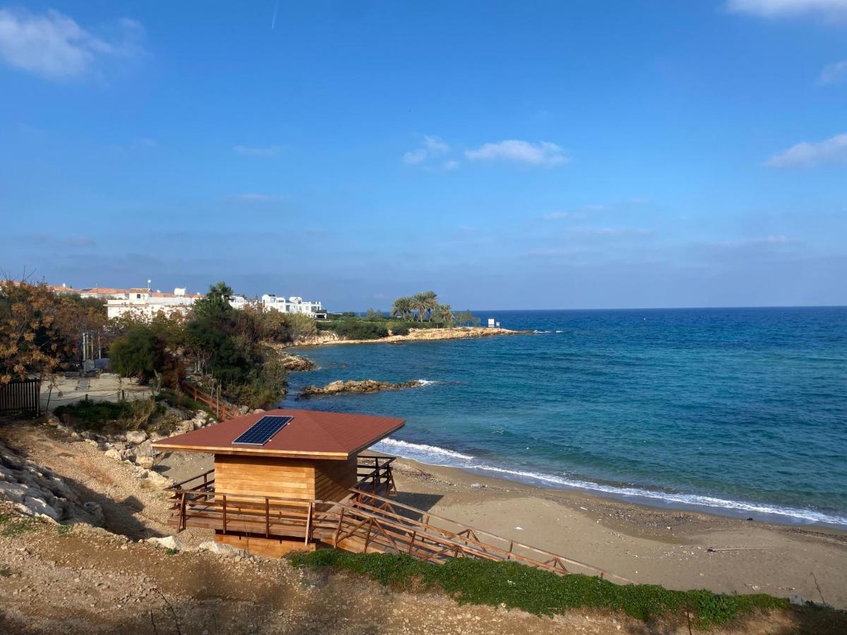 Olive Tree Villa - Protaras Bagian luar foto
