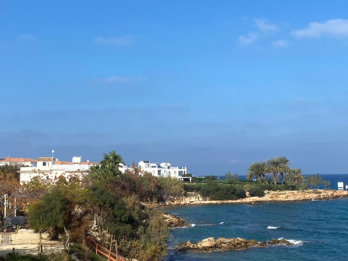 Olive Tree Villa - Protaras Bagian luar foto